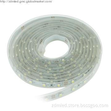 30led/m 5050 Outdoor String Lights